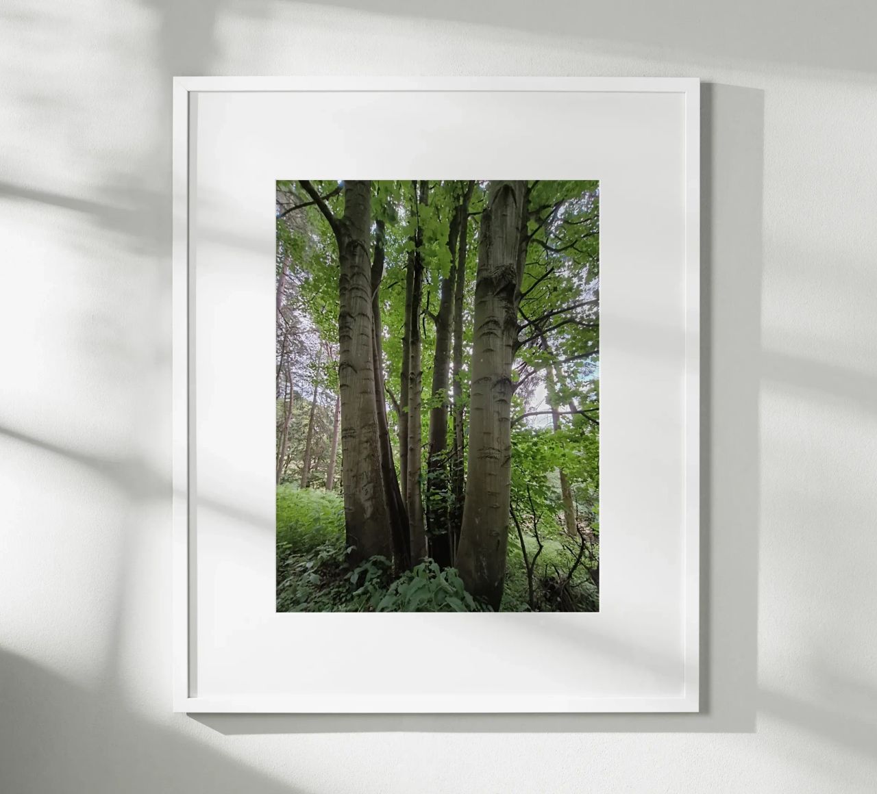 Unity in nature poster da gtobonart