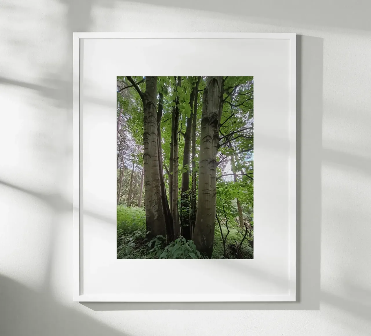 Unity in nature Hahnemühle von gtobonart