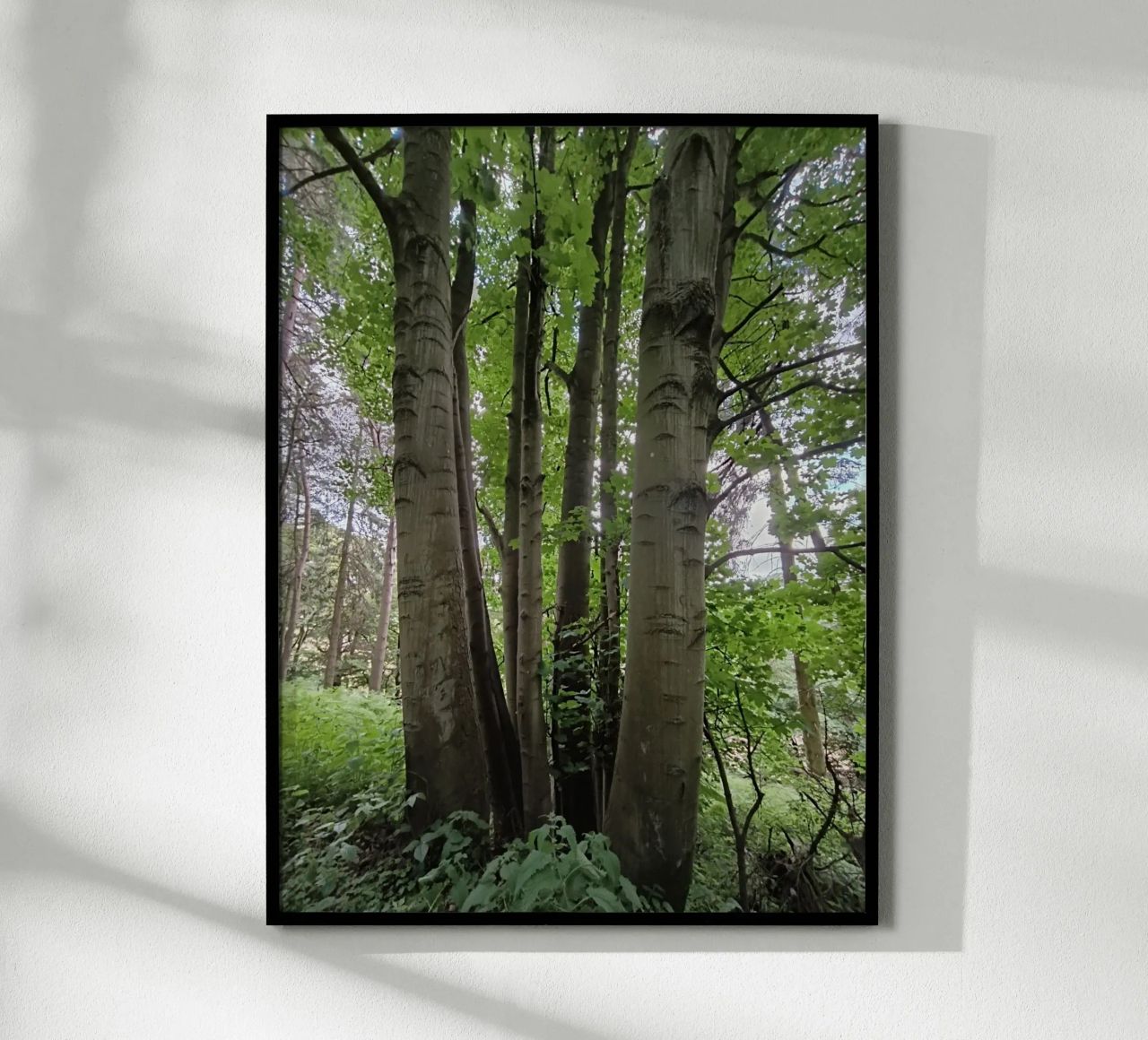 Unity in nature poster da gtobonart