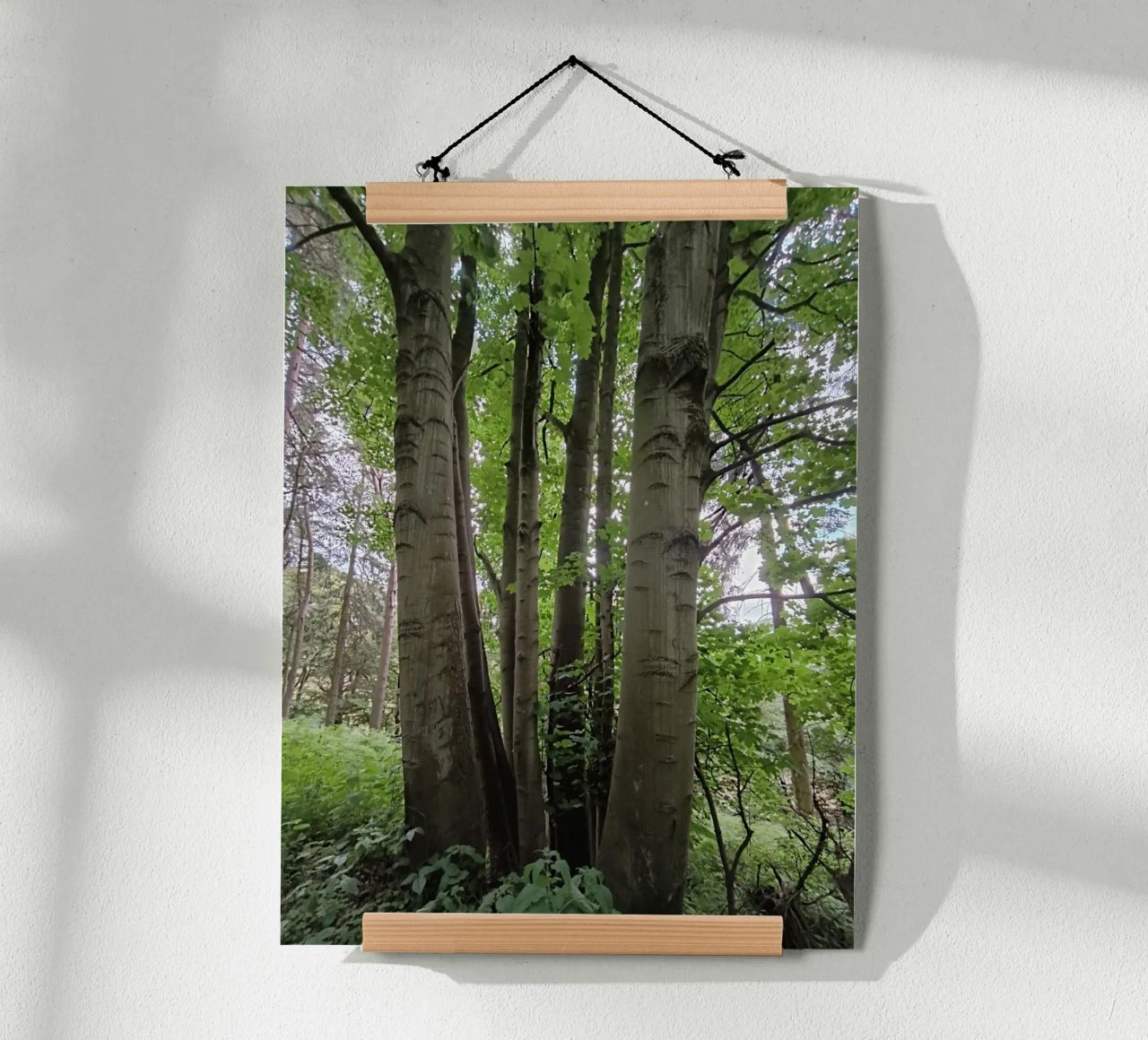 Unity in nature poster da gtobonart