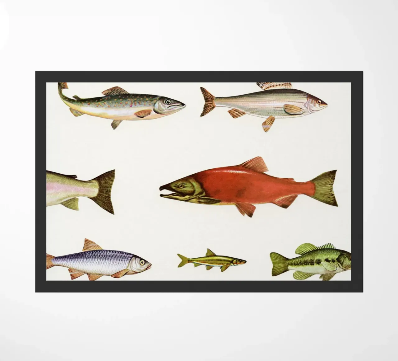 Fishing Line deurmat van Cassia Beck Collage