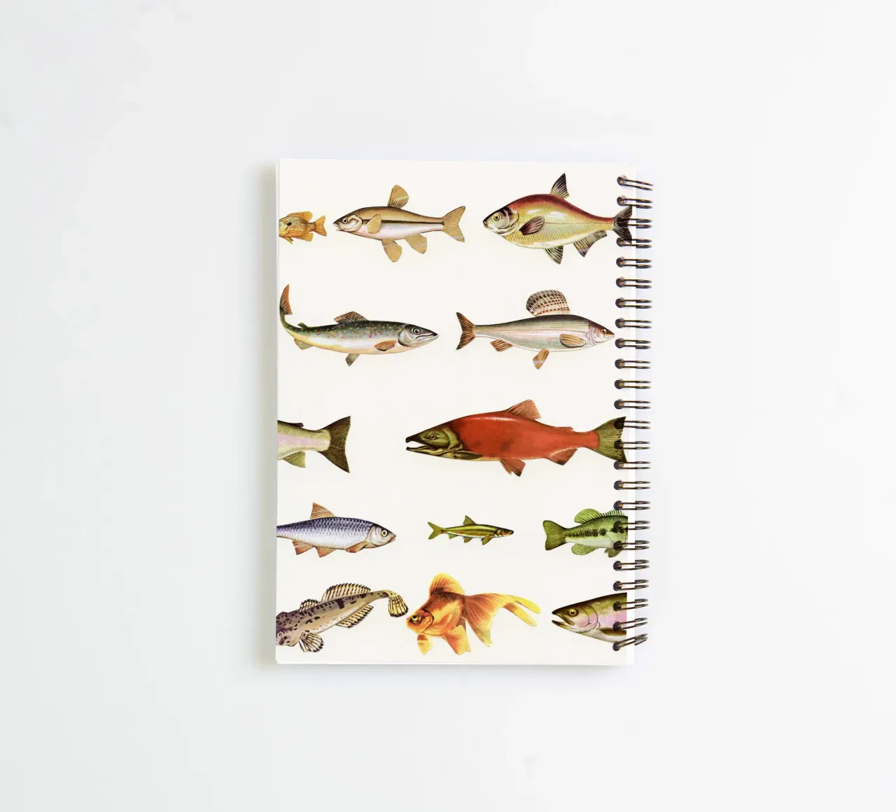 Angelschnur Ringbuch von Cassia Beck Collage