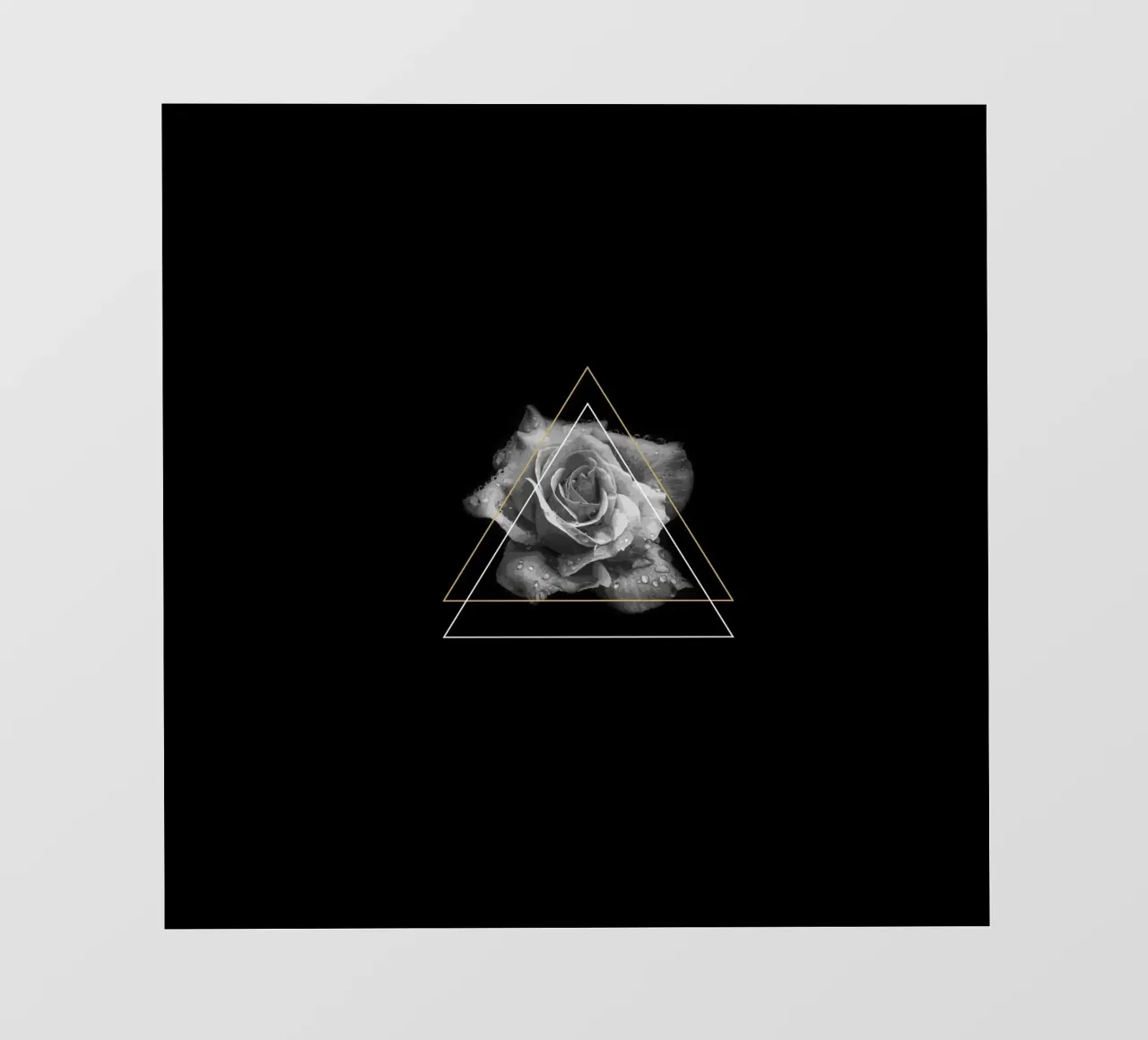 Rose fotobehang van KHouse Studio