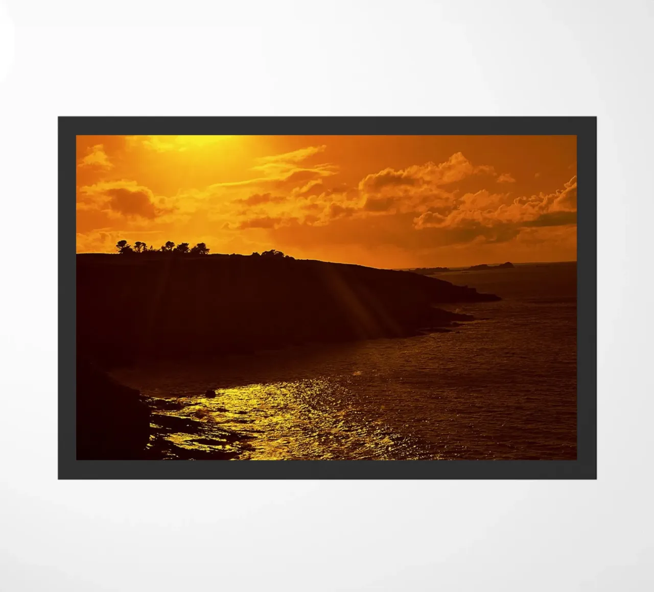 FAA188 zerbino da Thierry vobmann photography