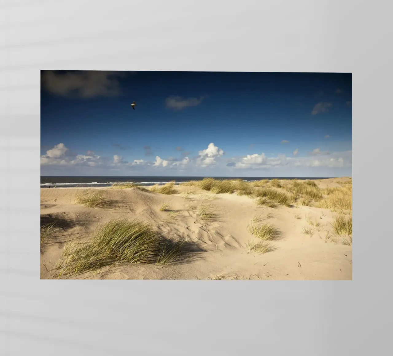 Spiaggia Spiekeroog pellicola backlit da Reisefotografie - Bilder aus aller Welt