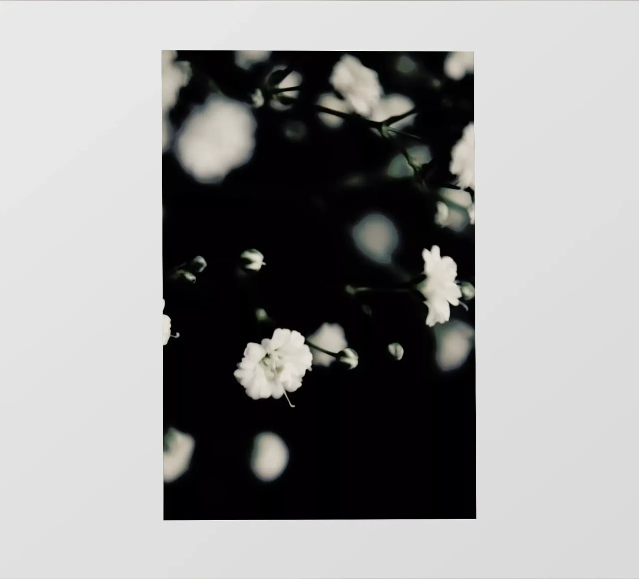 Babys Breath telo in pvc da Ingrid Beddoes