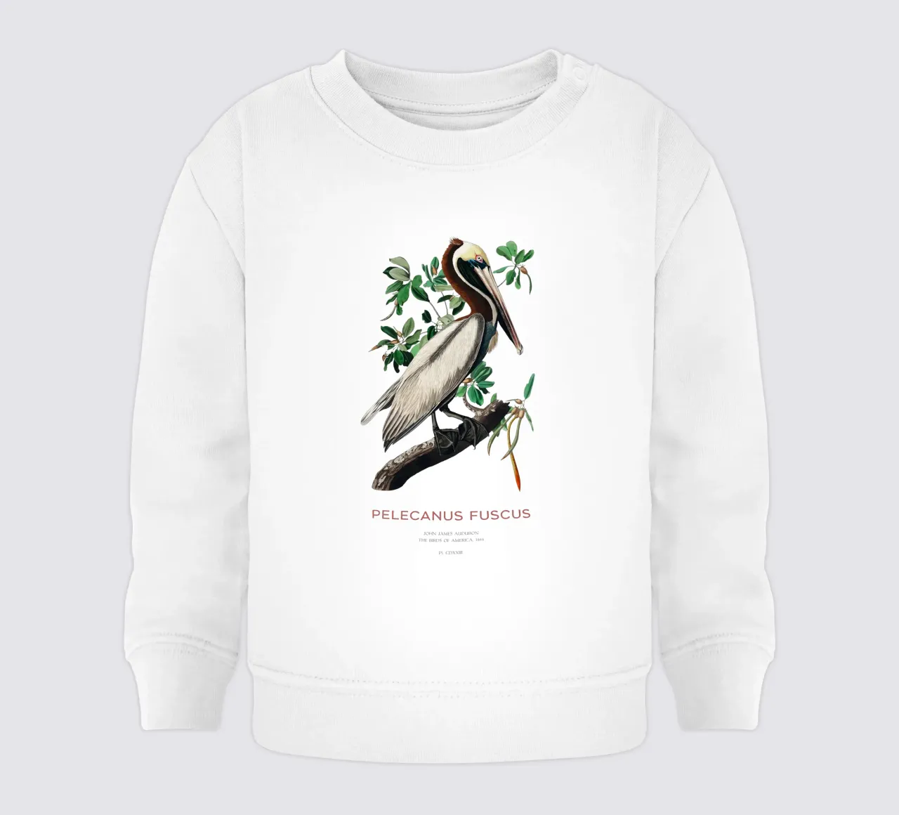 Pellicano bruno o Pelecanus fuscus felpa neonato da Vintagrafica