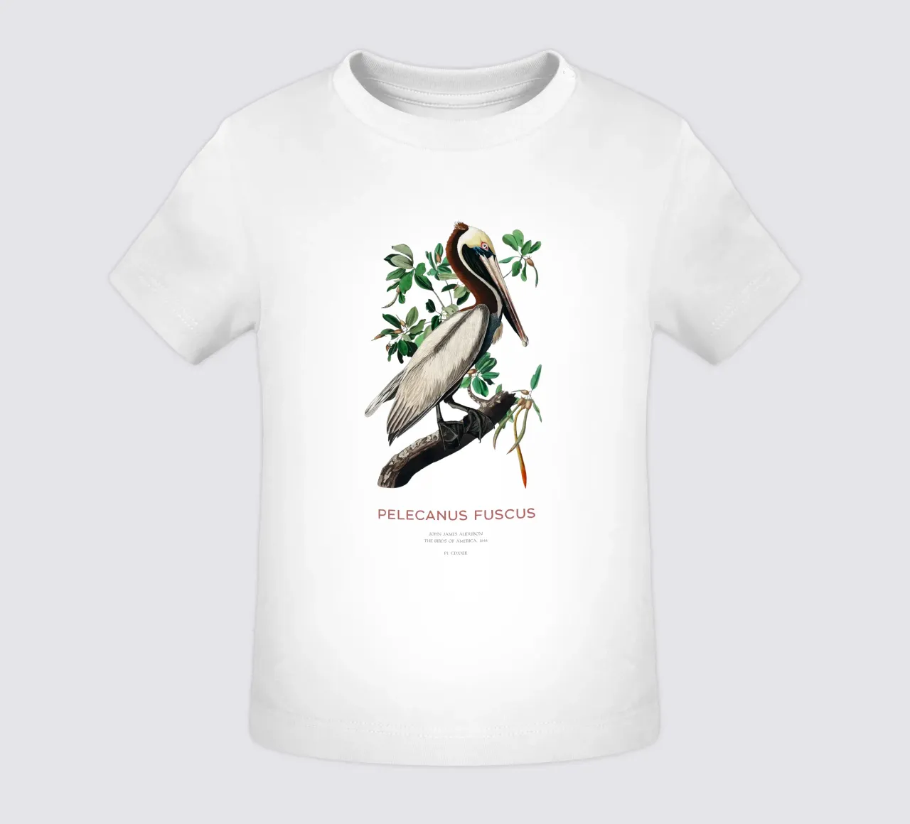 Pellicano bruno o Pelecanus fuscus maglietta neonato da Vintagrafica