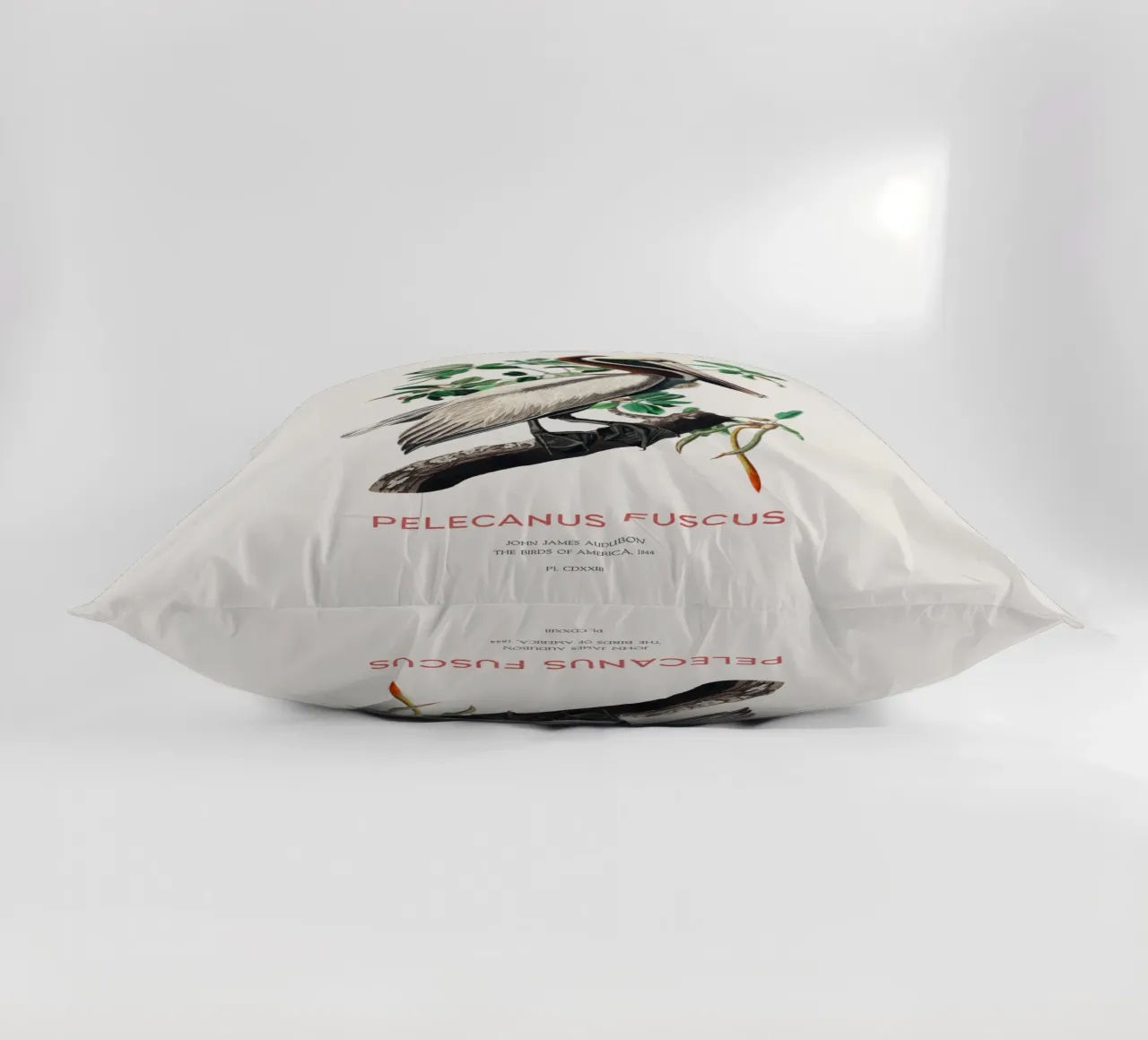 Pellicano bruno o Pelecanus fuscus cuscino da Vintagrafica