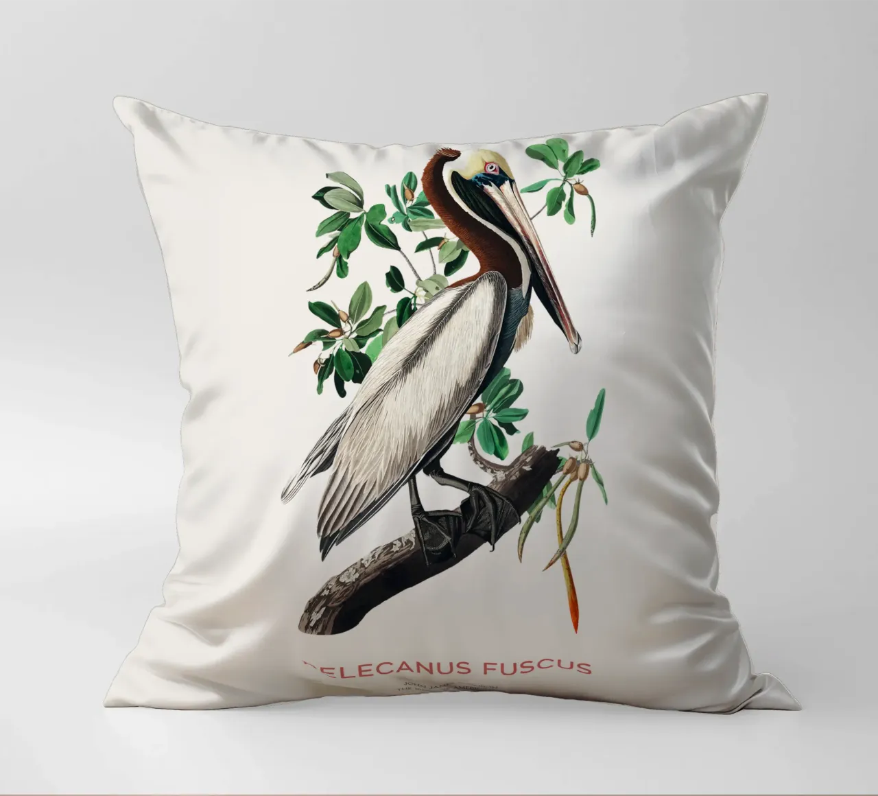 Pellicano bruno o Pelecanus fuscus cuscino da Vintagrafica