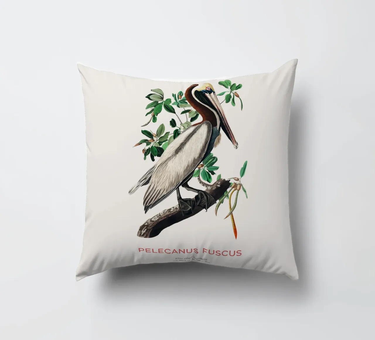 Pellicano bruno o Pelecanus fuscus cuscino da Vintagrafica