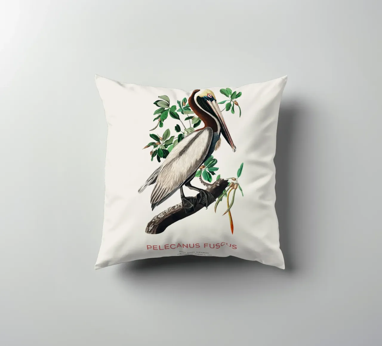 Pellicano bruno o Pelecanus fuscus cuscino da Vintagrafica