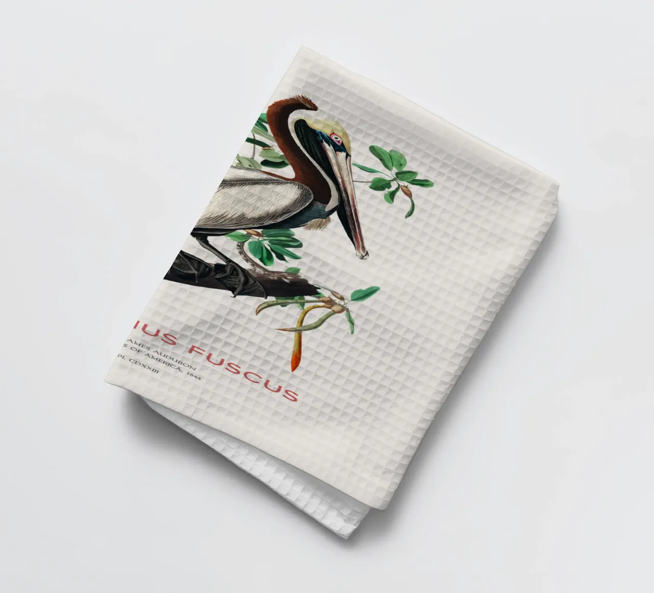 Pellicano bruno o Pelecanus fuscus canovaccio da cucina da Vintagrafica