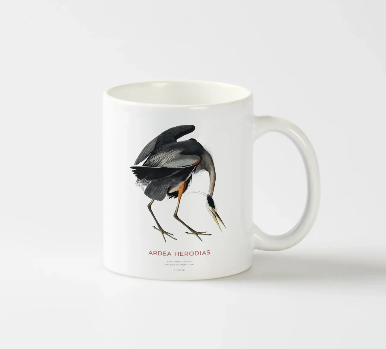 Airone azzurro maggiore o Ardea herodias tazza in ceramica da Vintagrafica