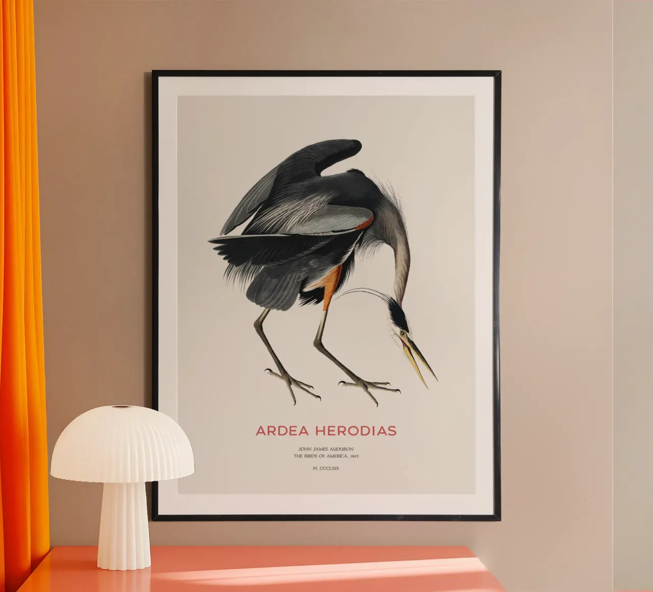 Großer Blaureiher oder Ardea herodias Hahnemühle von Vintagrafica