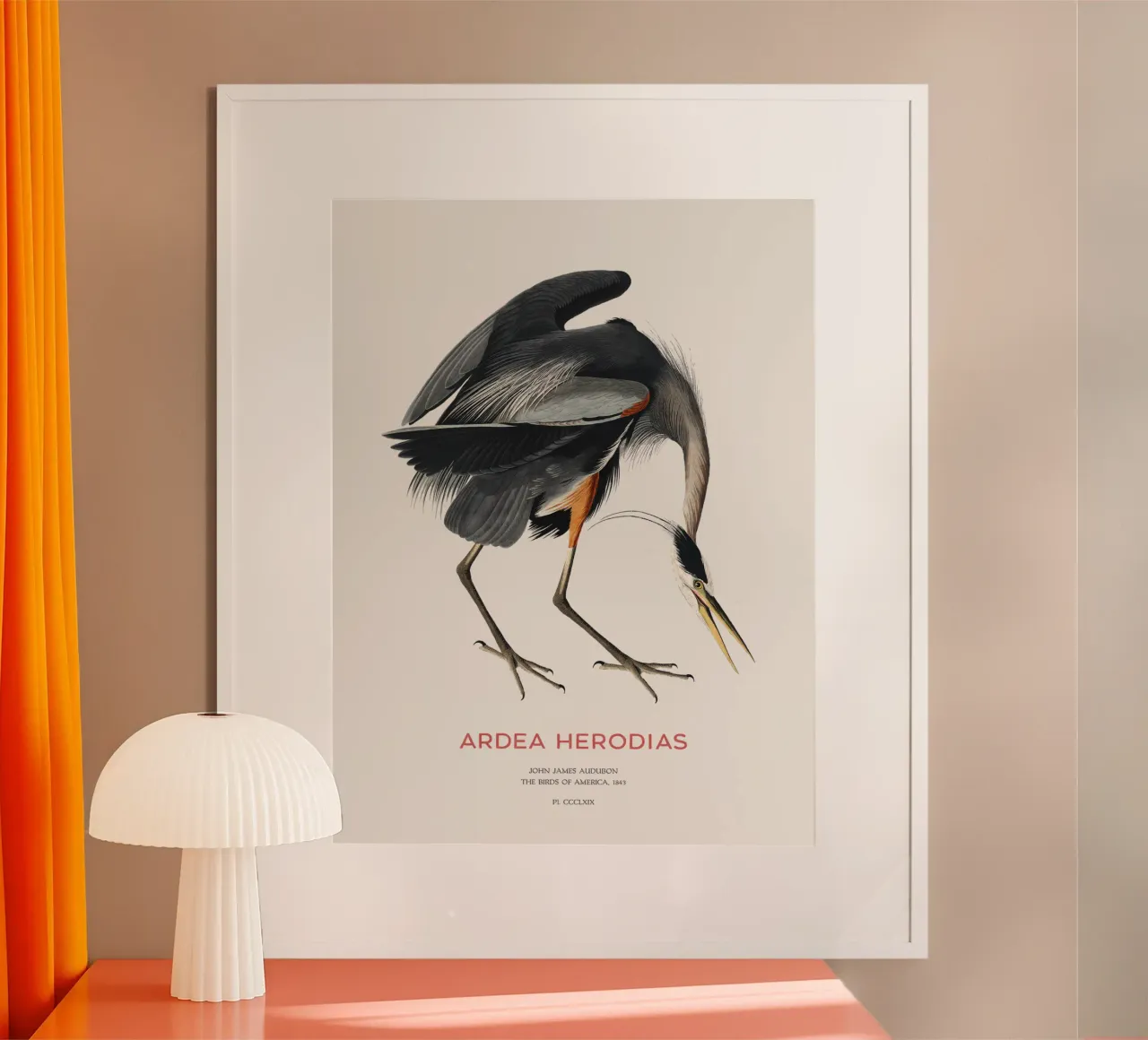 Großer Blaureiher oder Ardea herodias Hahnemühle von Vintagrafica
