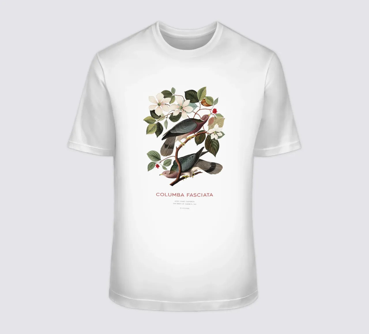 Piccione dalla coda a nastro o Columba fasciata t-shirt da Vintagrafica