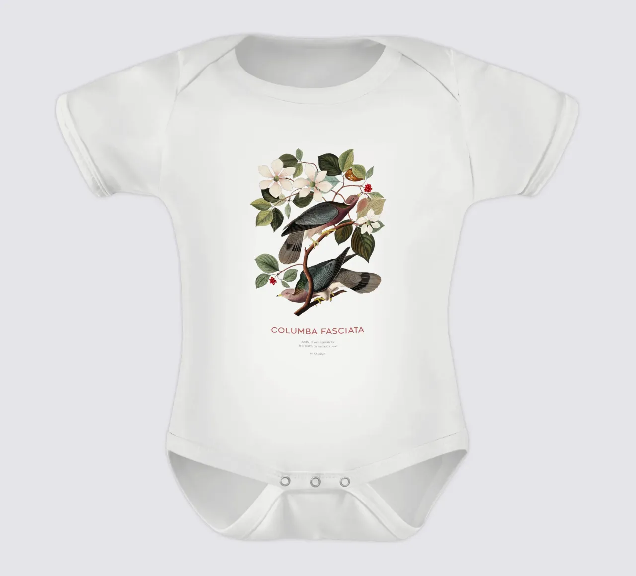 Bandtaube oder Columba fasciata Kurzarm Babybody von Vintagrafica