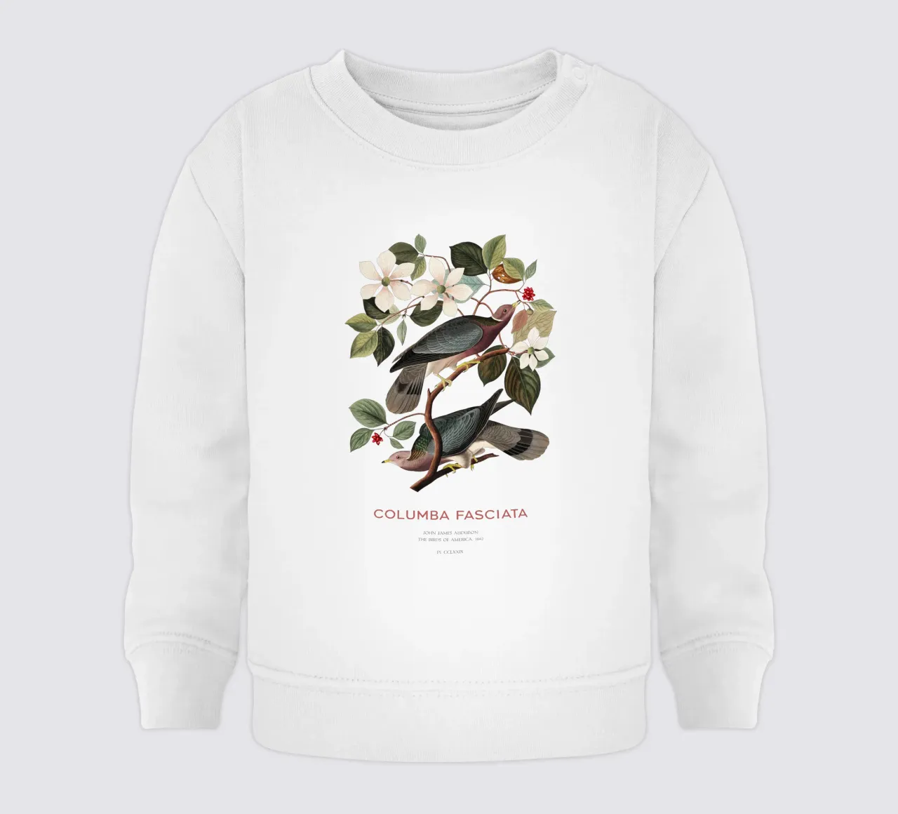 Bandtaube oder Columba fasciata Baby Sweatshirt von Vintagrafica