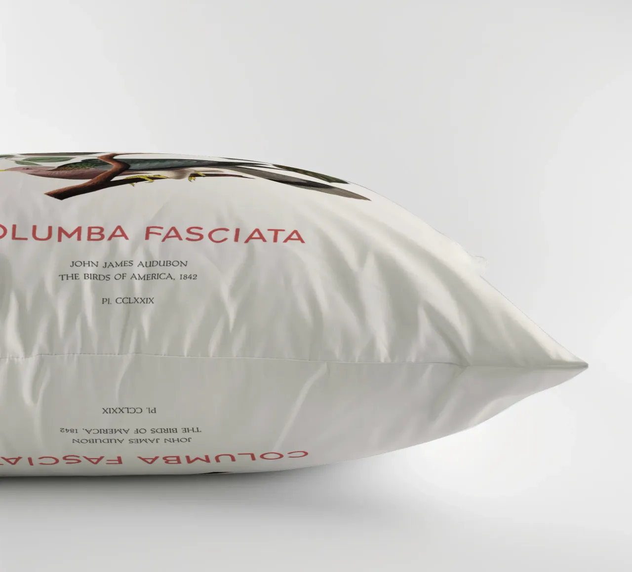 Piccione dalla coda a nastro o Columba fasciata cuscino da Vintagrafica