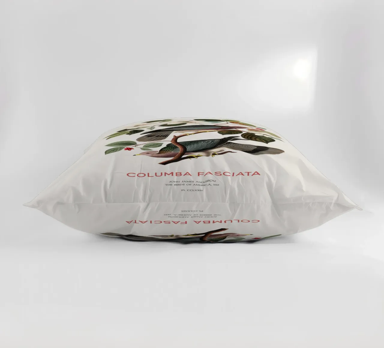 Piccione dalla coda a nastro o Columba fasciata cuscino da Vintagrafica