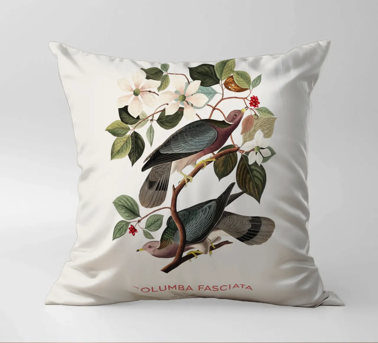 Piccione dalla coda a nastro o Columba fasciata cuscino da Vintagrafica