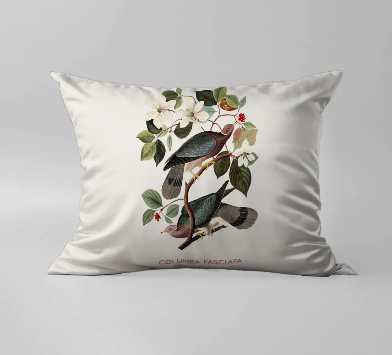 Piccione dalla coda a nastro o Columba fasciata cuscino da Vintagrafica