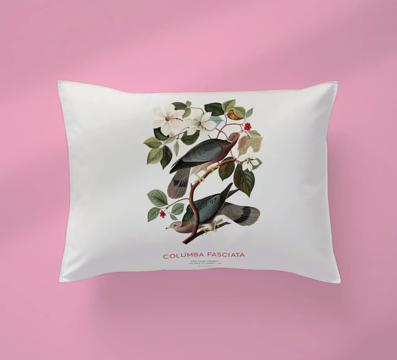 Piccione dalla coda a nastro o Columba fasciata cuscino da Vintagrafica