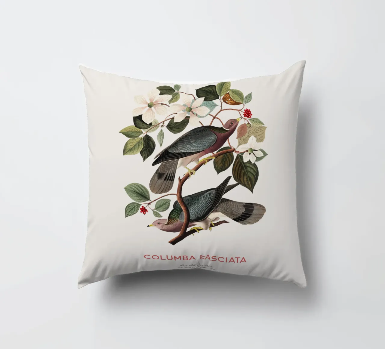 Piccione dalla coda a nastro o Columba fasciata cuscino da Vintagrafica
