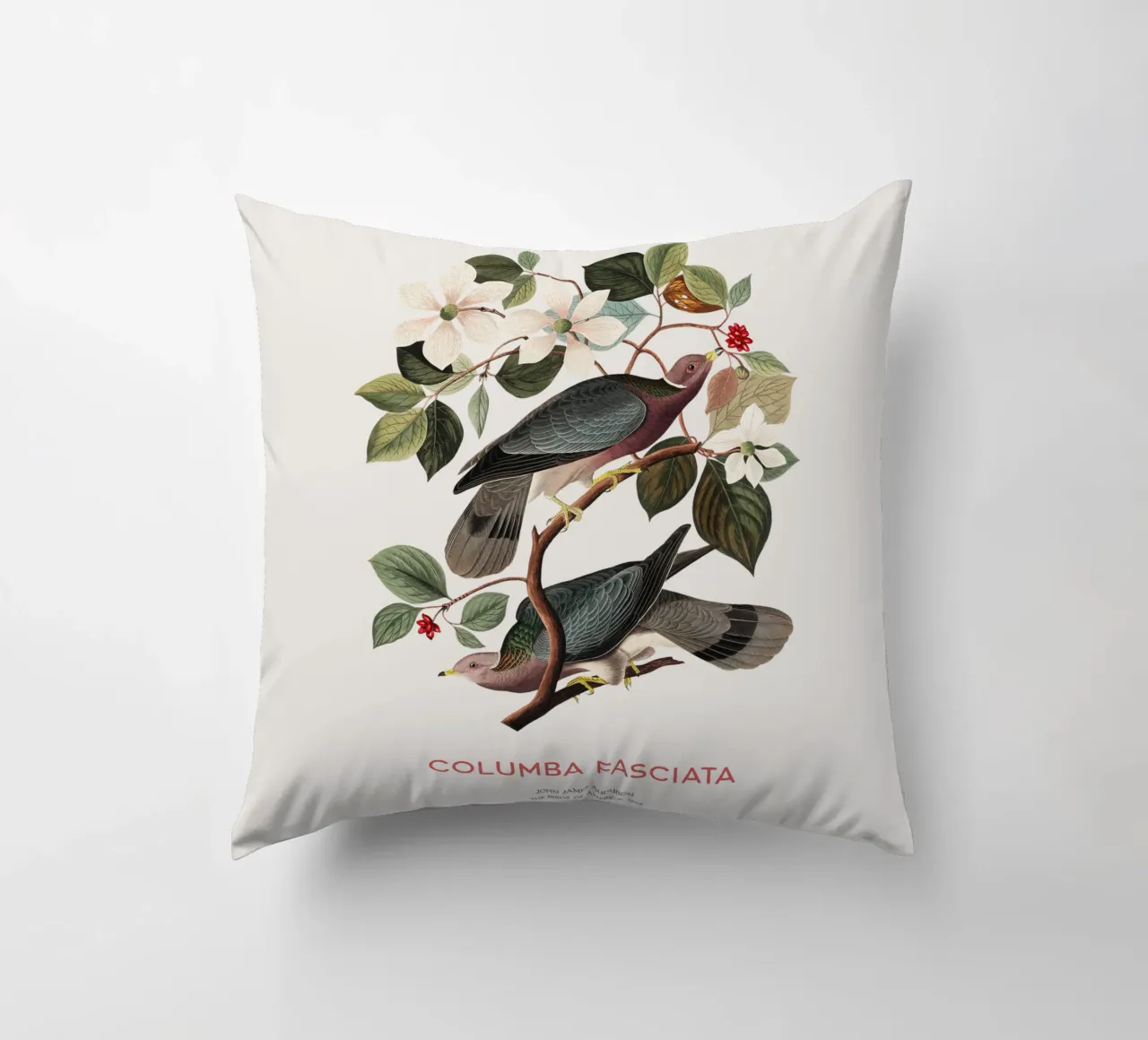 Piccione dalla coda a nastro o Columba fasciata cuscino da Vintagrafica