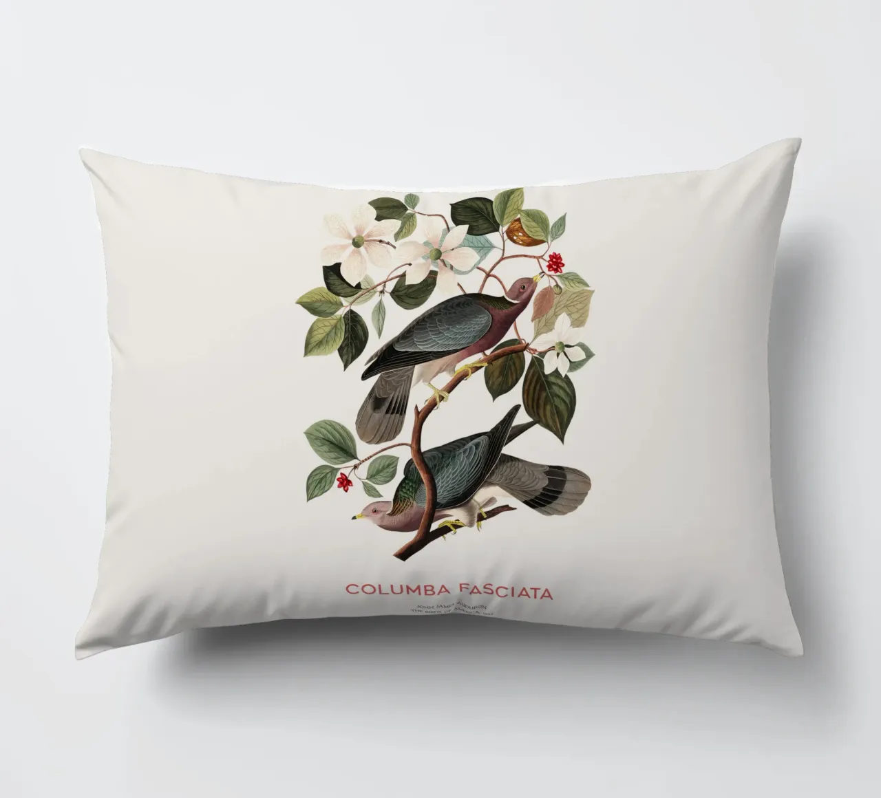 Piccione dalla coda a nastro o Columba fasciata cuscino da Vintagrafica