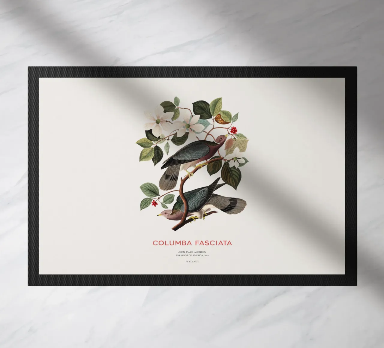 Band-tailed pigeon or Columba fasciata doormat by Vintagrafica