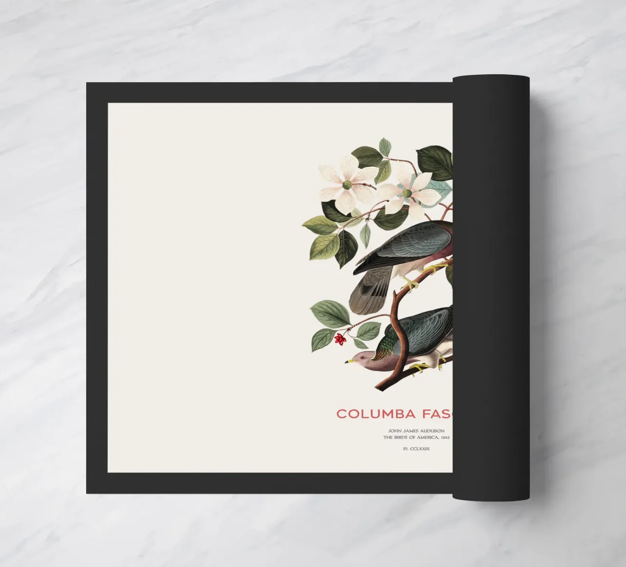 Band-tailed pigeon or Columba fasciata doormat by Vintagrafica