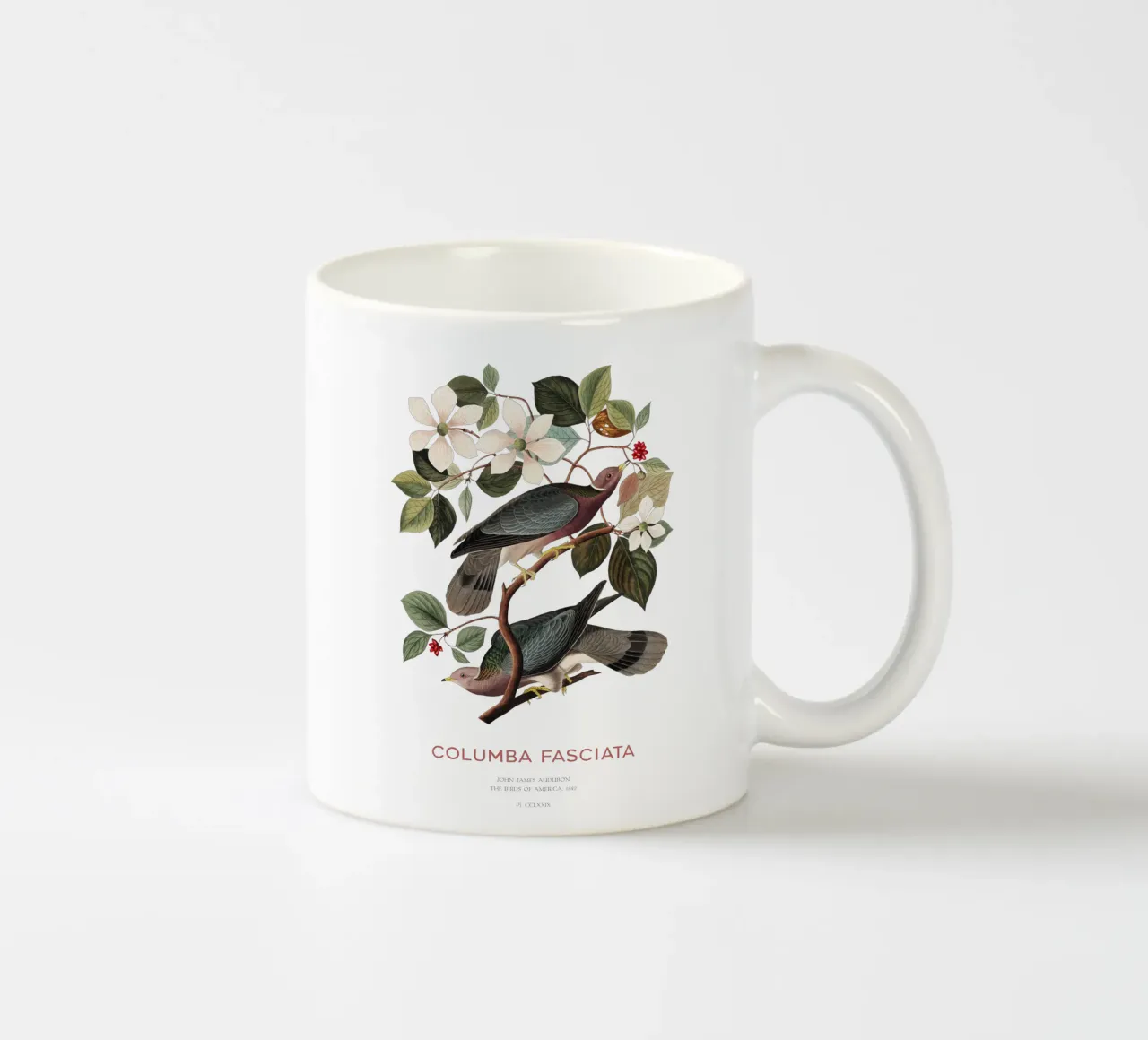 Piccione dalla coda a nastro o Columba fasciata tazza in ceramica da Vintagrafica