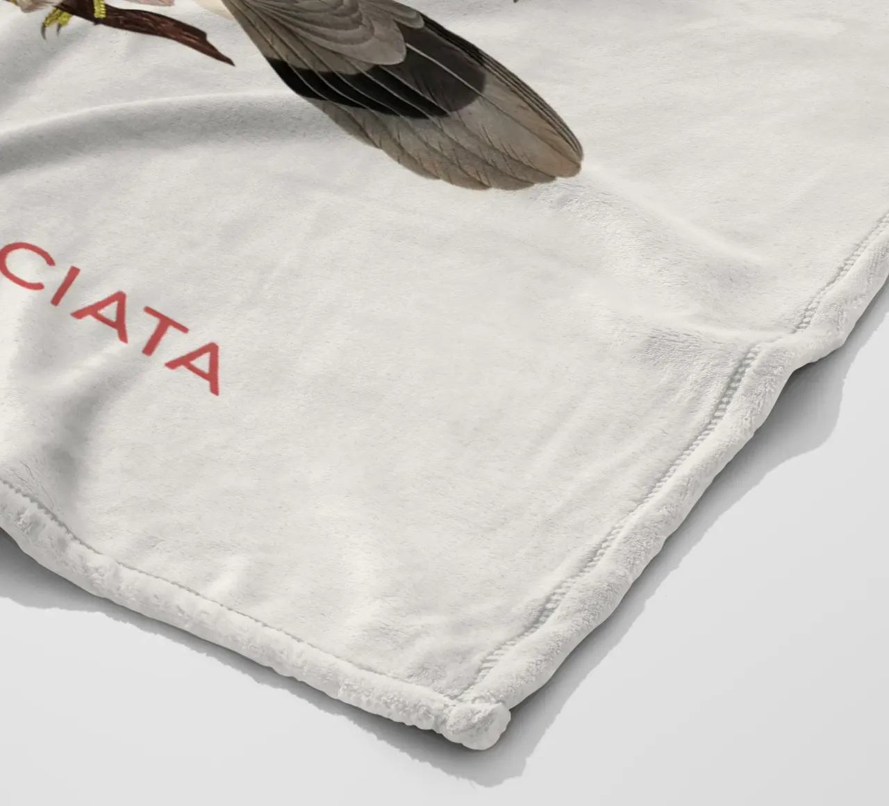 Piccione dalla coda a nastro o Columba fasciata coperta in pile da Vintagrafica