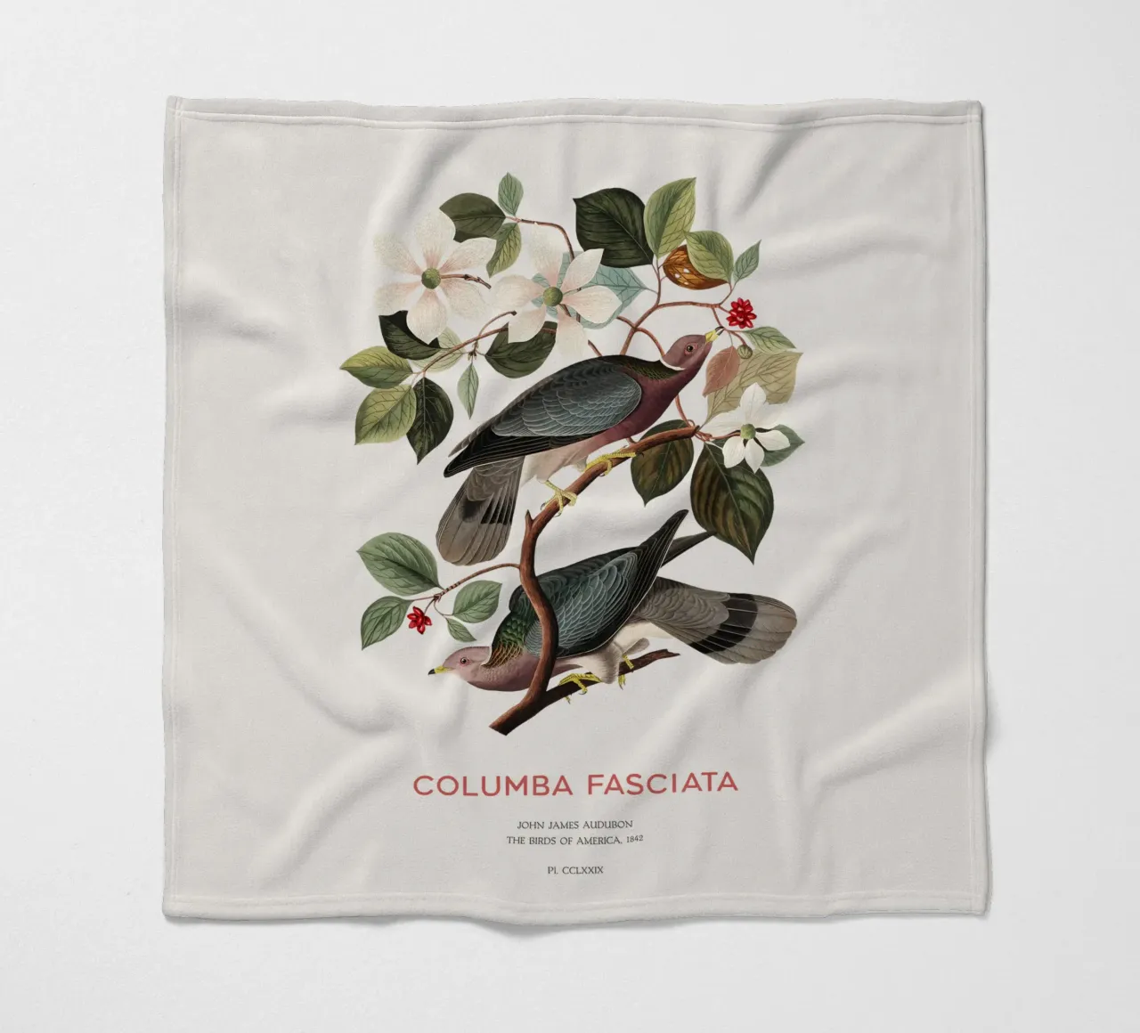 Piccione dalla coda a nastro o Columba fasciata coperta in pile da Vintagrafica