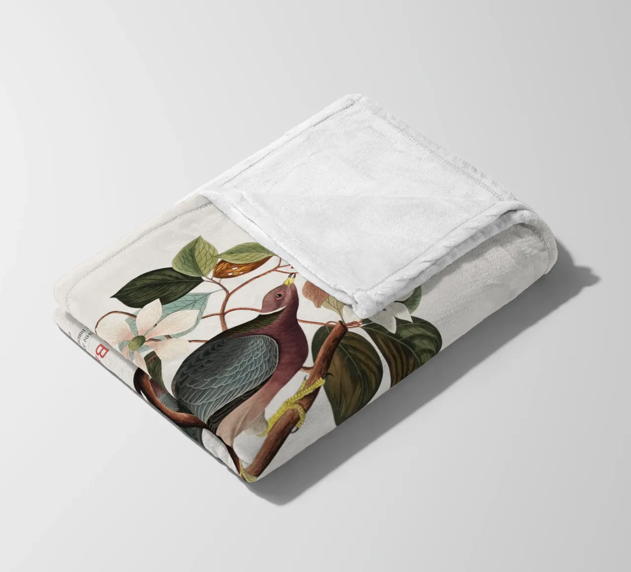 Piccione dalla coda a nastro o Columba fasciata coperta in pile da Vintagrafica