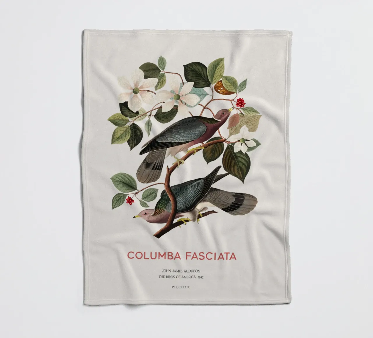 Piccione dalla coda a nastro o Columba fasciata coperta in pile da Vintagrafica