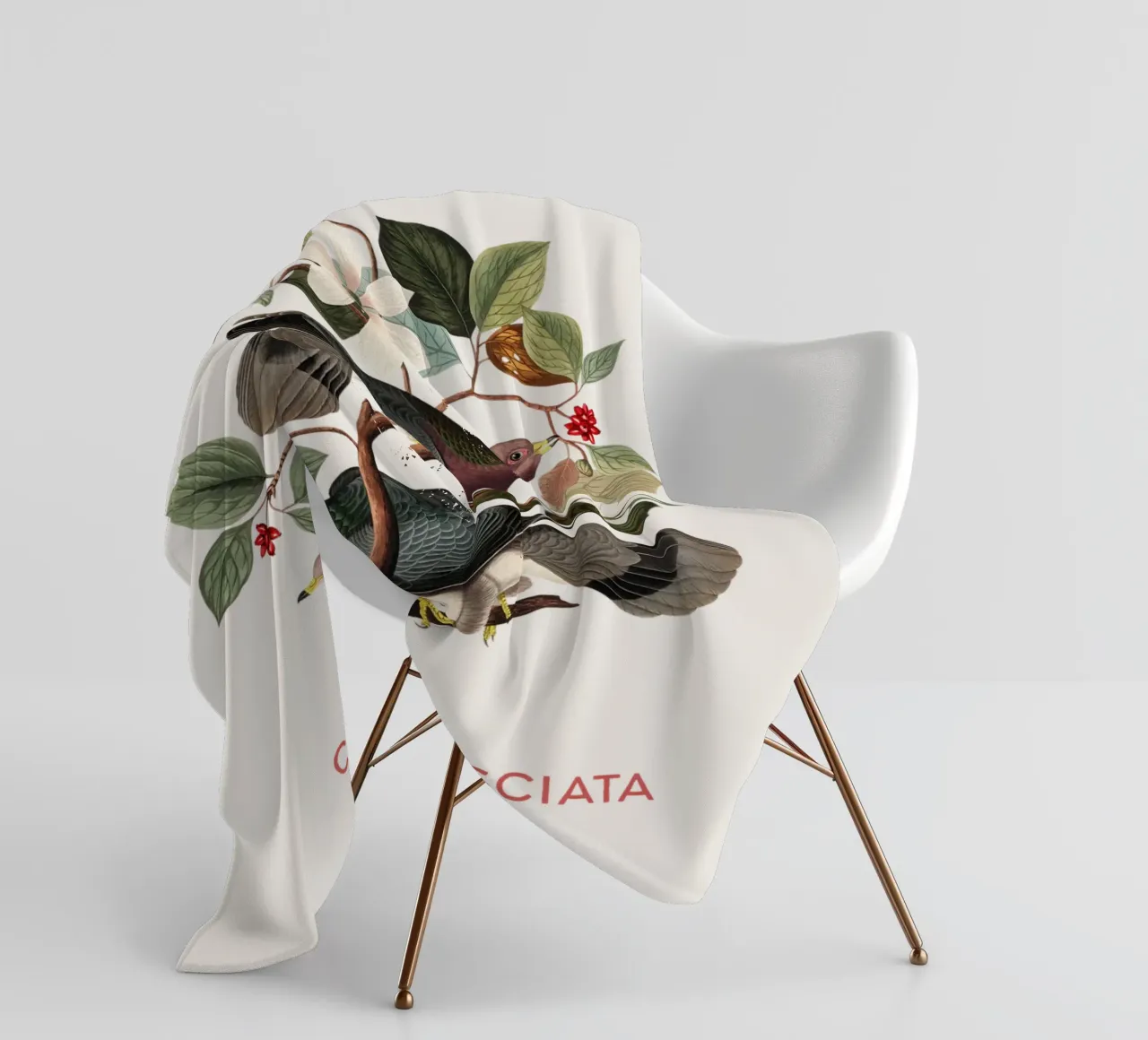 Piccione dalla coda a nastro o Columba fasciata coperta in pile da Vintagrafica