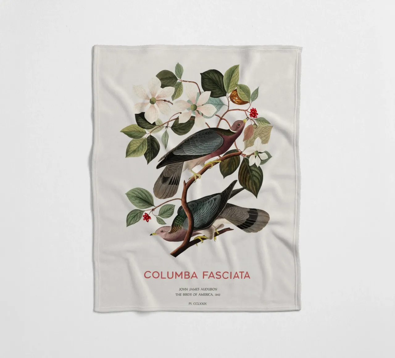Piccione dalla coda a nastro o Columba fasciata coperta in pile da Vintagrafica