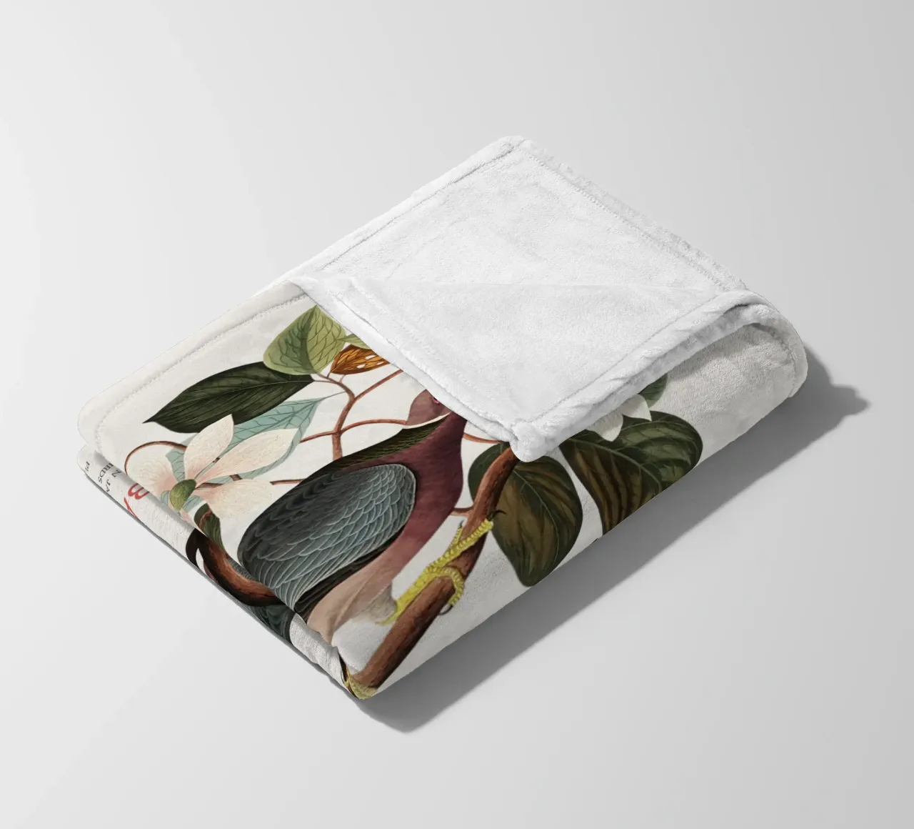 Piccione dalla coda a nastro o Columba fasciata coperta in pile da Vintagrafica