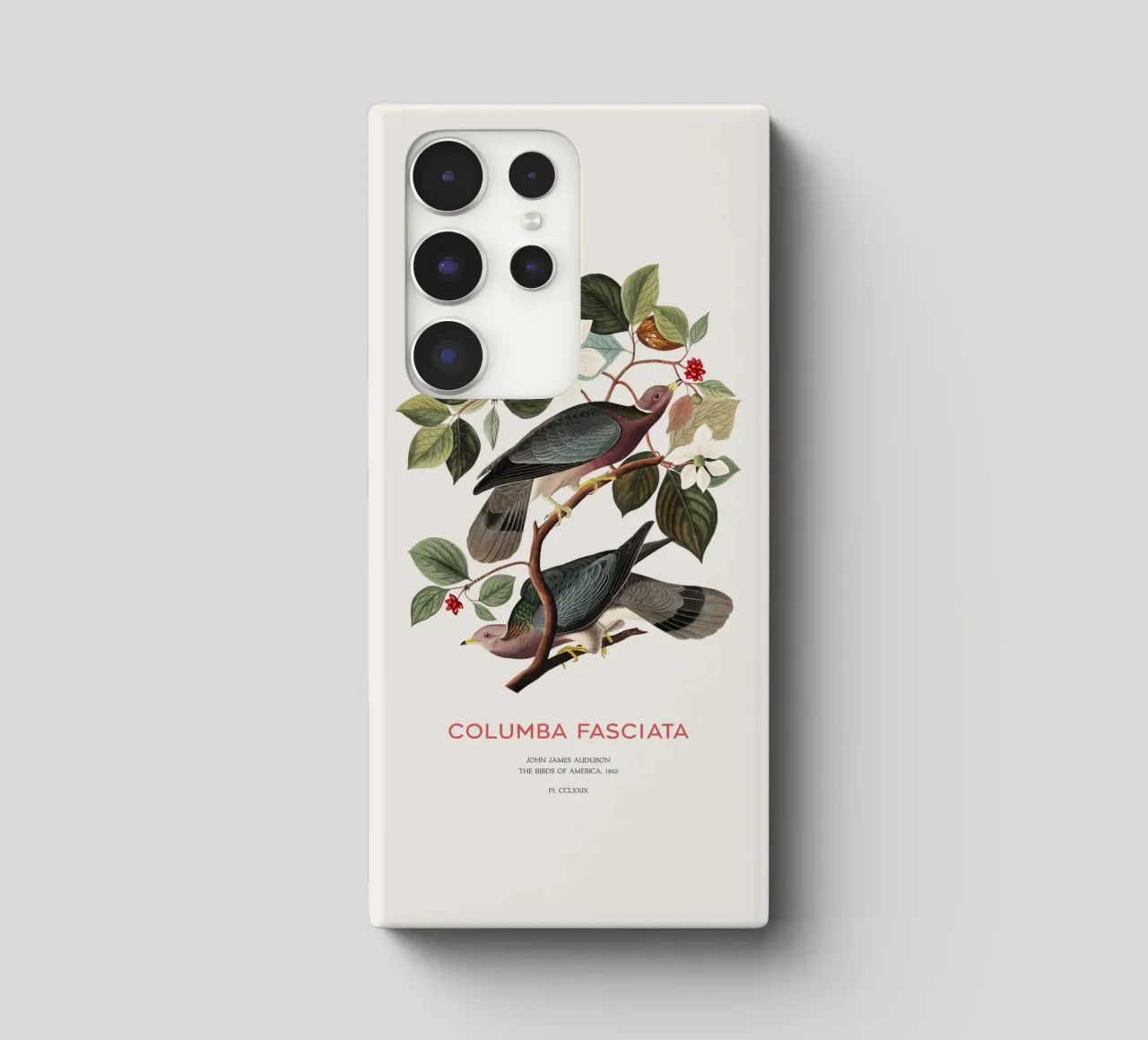 Piccione dalla coda a nastro o Columba fasciata cover samsung da Vintagrafica