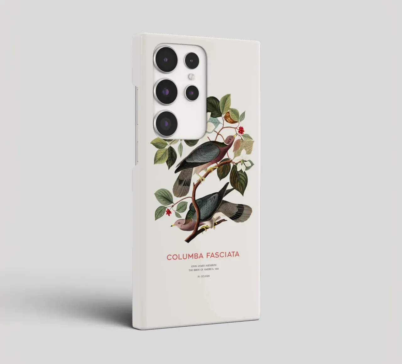 Piccione dalla coda a nastro o Columba fasciata cover samsung da Vintagrafica