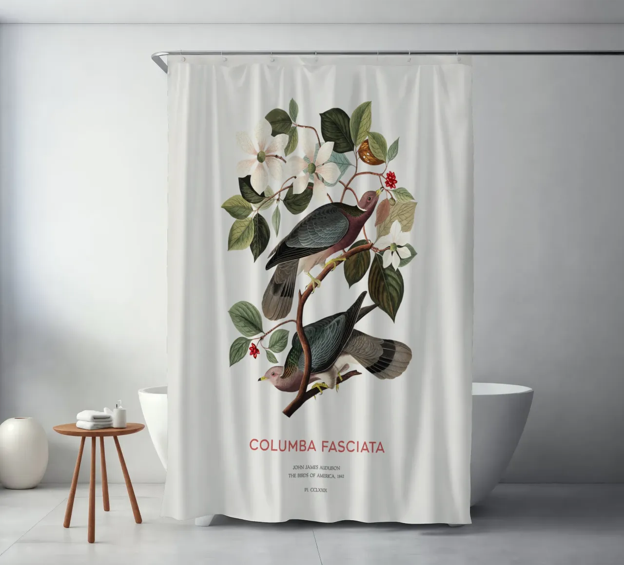 Piccione dalla coda a nastro o Columba fasciata tenda da doccia da Vintagrafica