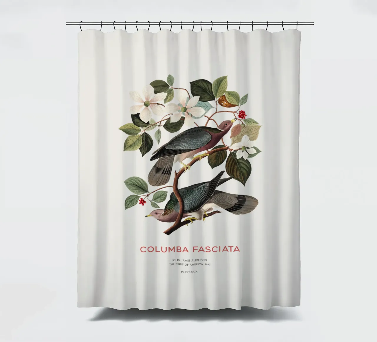 Piccione dalla coda a nastro o Columba fasciata tenda da doccia da Vintagrafica