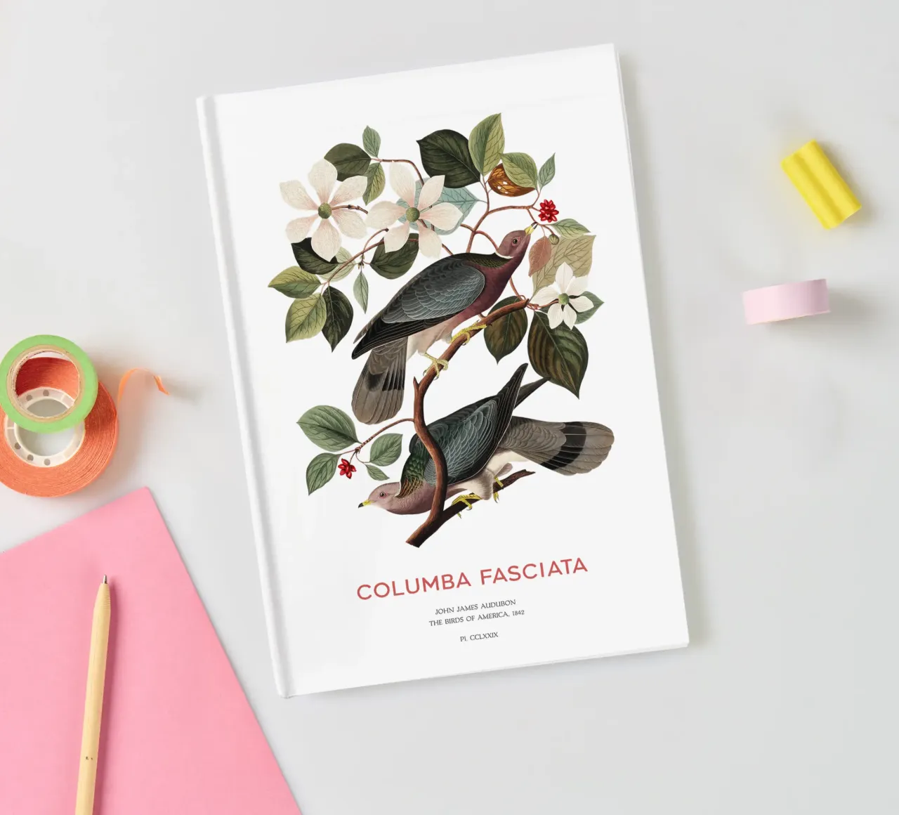 Piccione dalla coda a nastro o Columba fasciata diario da Vintagrafica