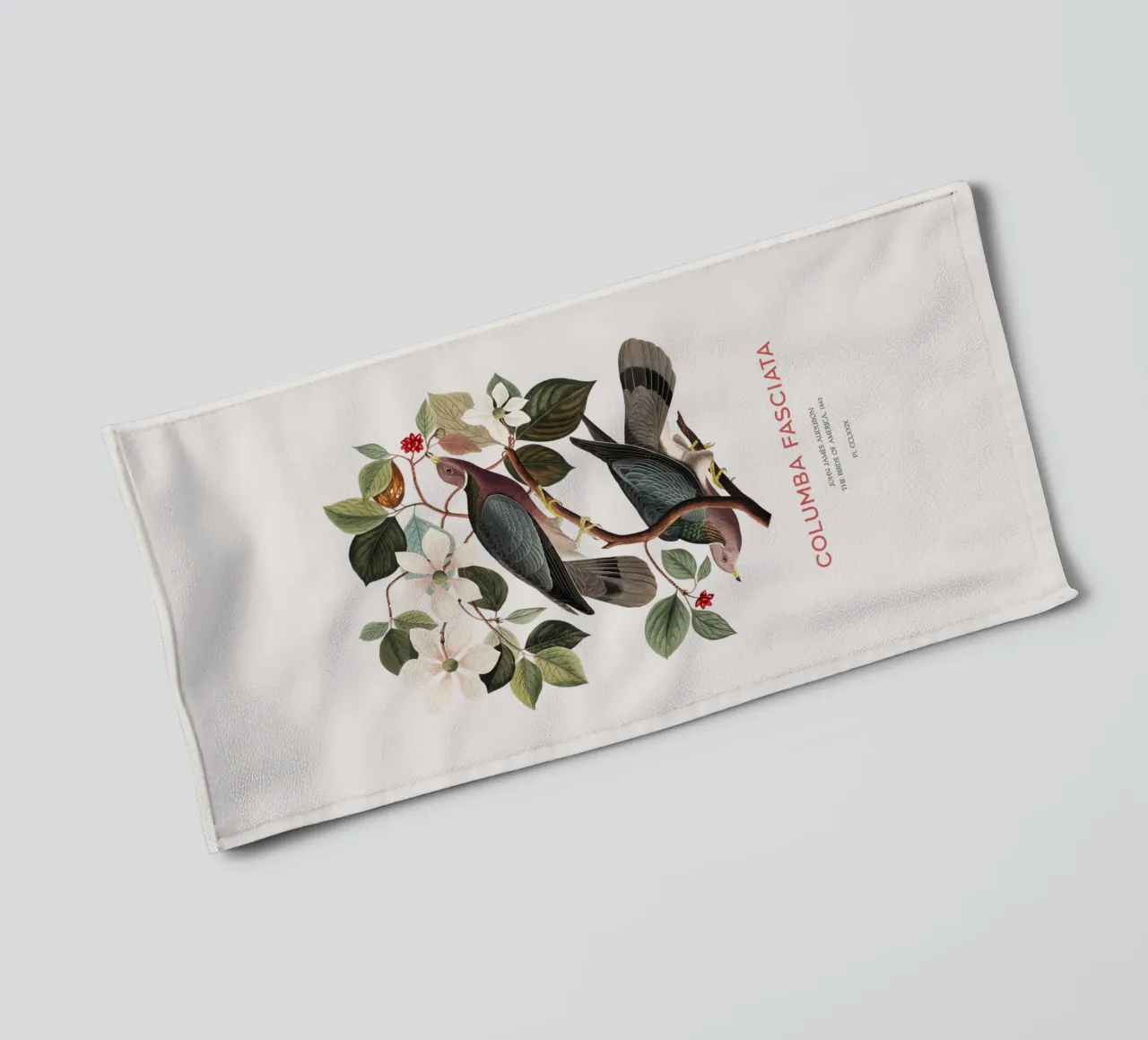 Piccione dalla coda a nastro o Columba fasciata asciugamano da bagno da Vintagrafica