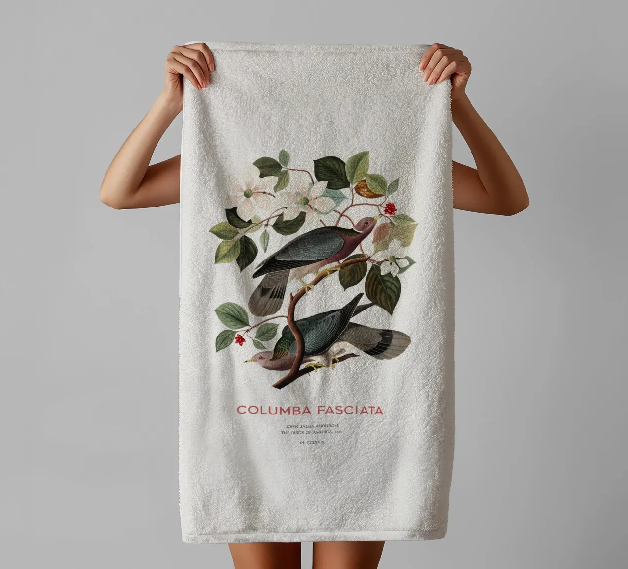 Piccione dalla coda a nastro o Columba fasciata asciugamano da bagno da Vintagrafica