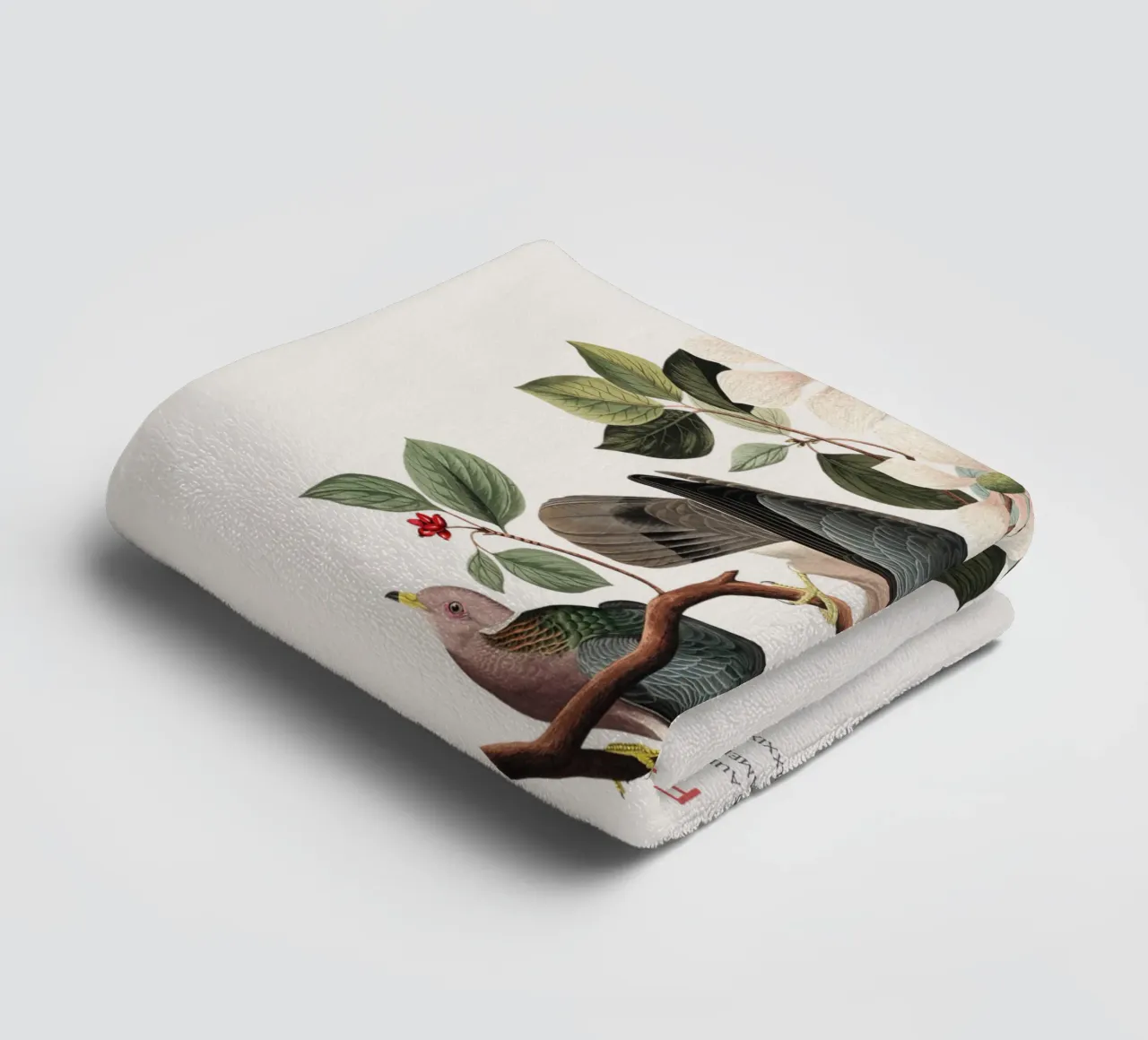 Piccione dalla coda a nastro o Columba fasciata asciugamano da bagno da Vintagrafica