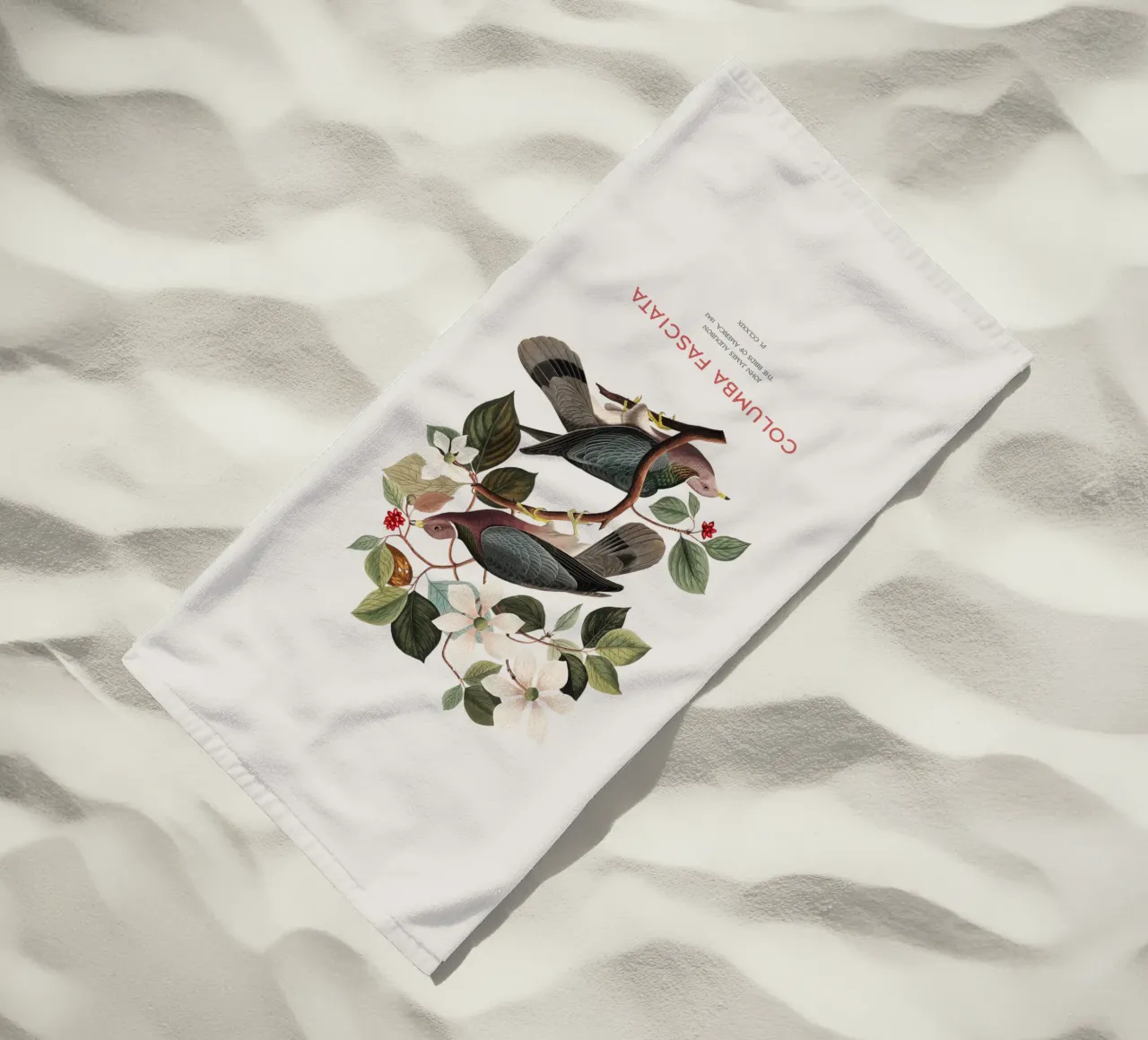 Piccione dalla coda a nastro o Columba fasciata telo mare da Vintagrafica